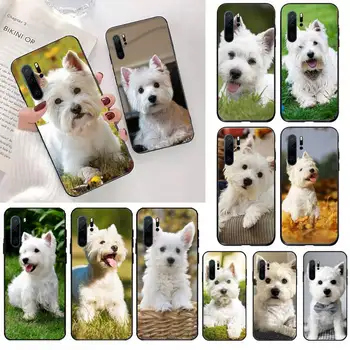 Tacskó kutya aranyos állat Telefon Esetében a Huawei honor P haver 40 20 30 10 50 én 9 x mate pro lite 8a